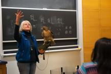 woman holding hawk