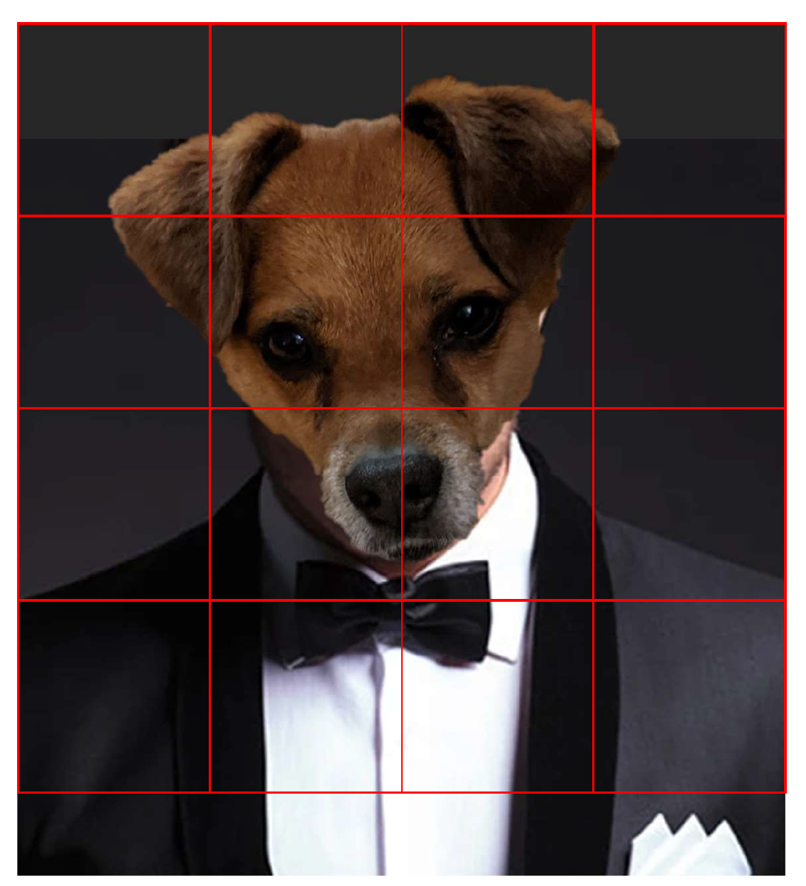dog in a tuxedo with red grid