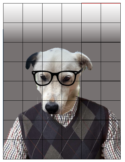 dog in sweater vest and glasses with grid