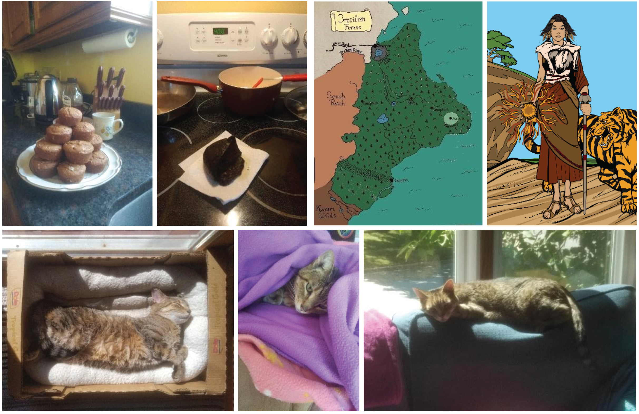 collage of baked goods, art, and cat photos