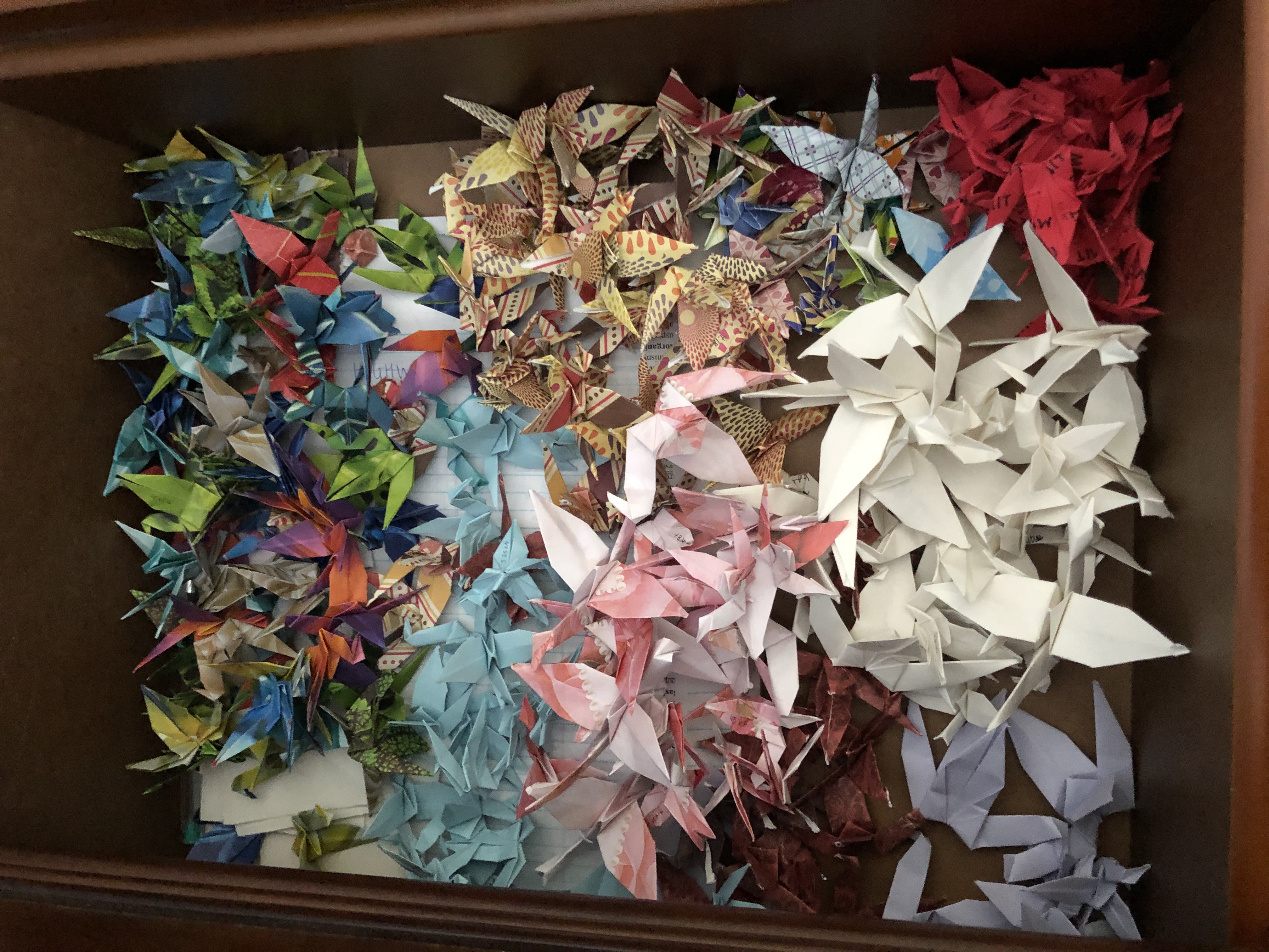 origami cranes in a box