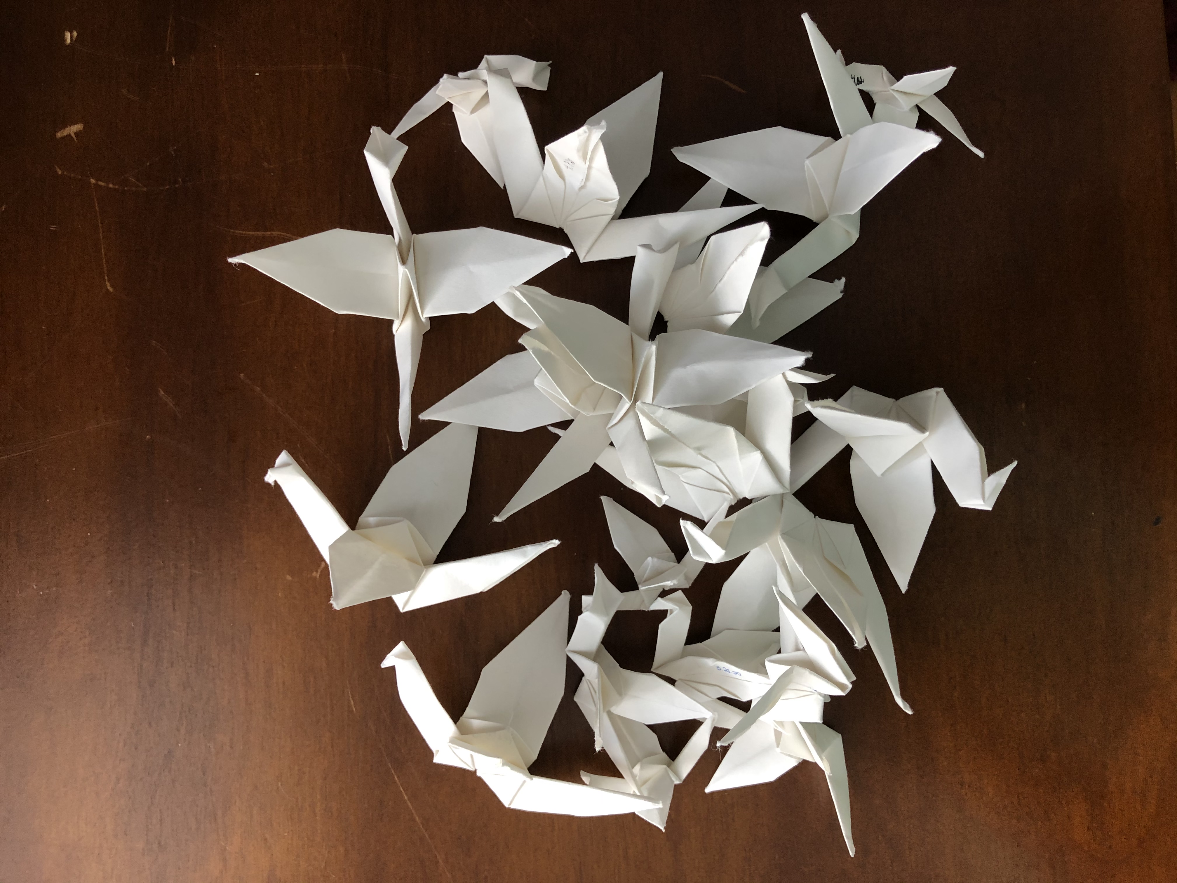 white origami cranes